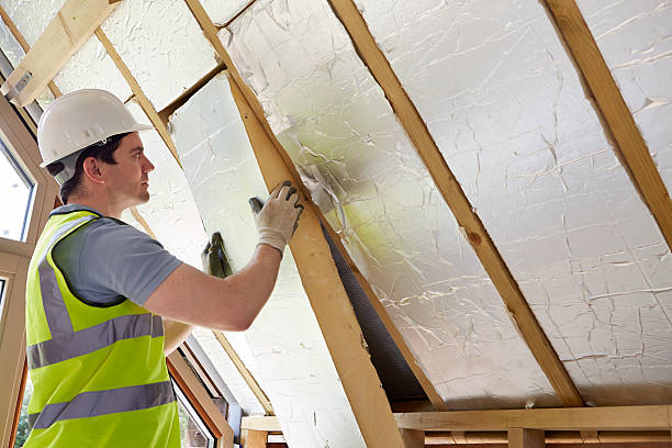 Best Cellulose Insulation in Thomasville, NC