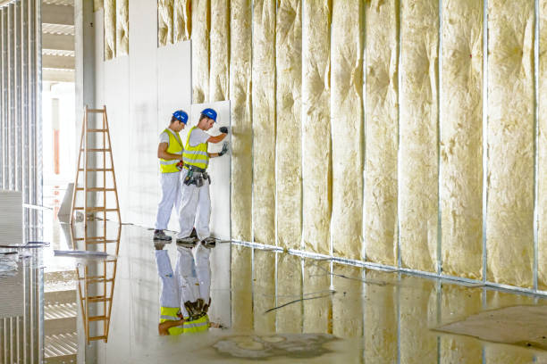 Types of Insulation We Offer in Thomasville, NC